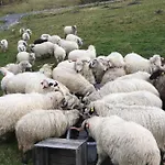 Lägenhet Welniana Przystan Świeradów-Zdrój