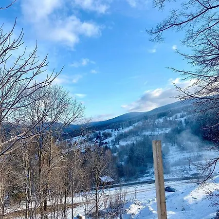 Apartment Welniana Przystan