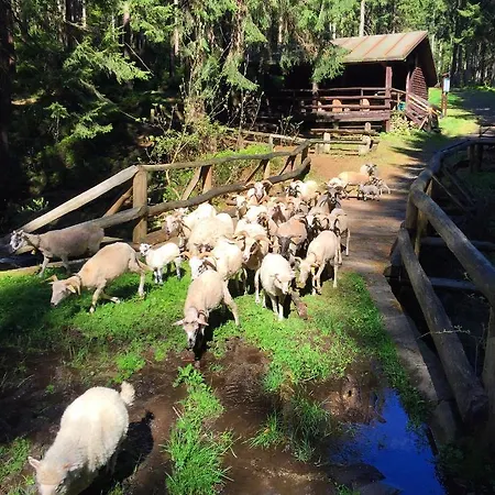 Welniana Przystan * Świeradów-Zdrój
