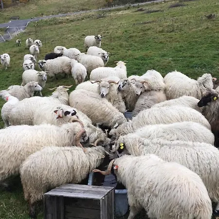 Apartment Welniana Przystan Świeradów-Zdrój
