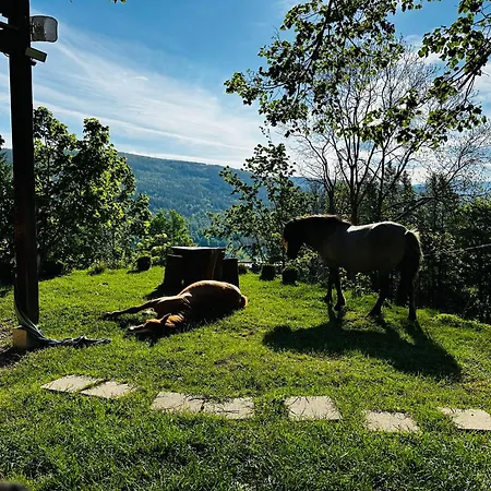 Welniana Przystan * Świeradów-Zdrój