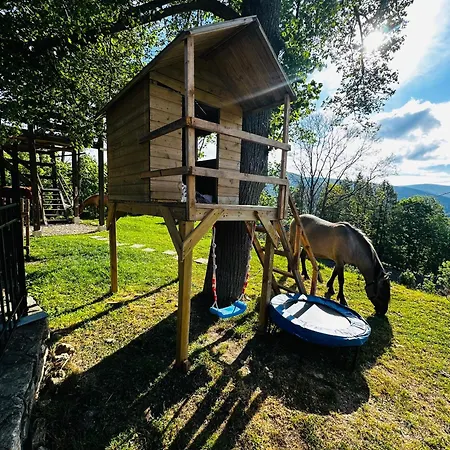 Apartment Welniana Przystan