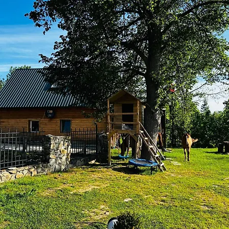 Welniana Przystan アパート *