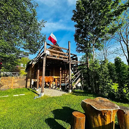 Welniana Przystan Apartment Świeradów-Zdrój