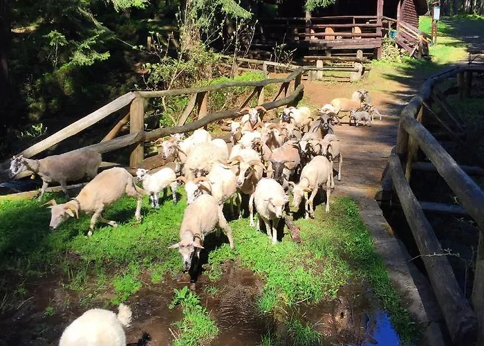 Welniana Przystan * Świeradów-Zdrój