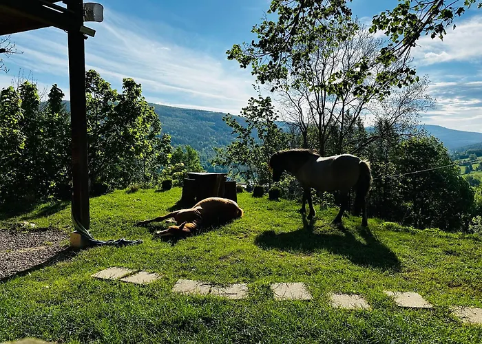 Welniana Przystan * Świeradów-Zdrój