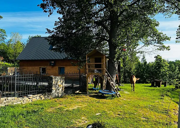 Welniana Przystan アパート *